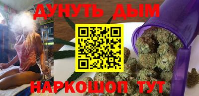 гидра Будённовск