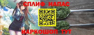 гидра Будённовск