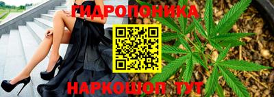 гидра Будённовск