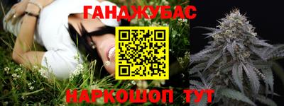 гидра Будённовск